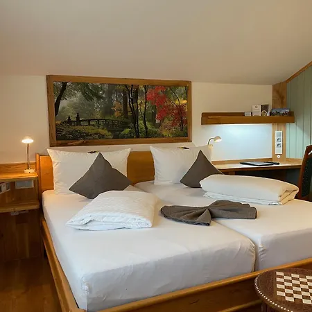 Hotel Pension Blumenbach-3